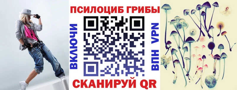 Купить где  Асбест  Псилоцибиновые грибы GOLDEN TEACHER 
