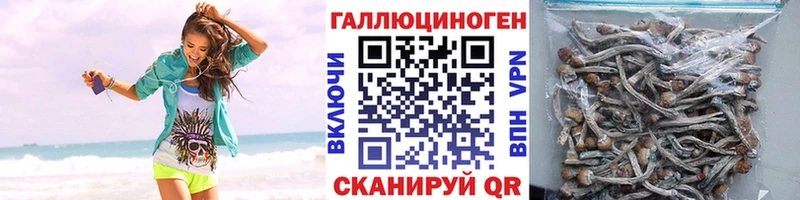 Псилоцибиновые грибы Magic Shrooms Асбест